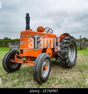 Trattore Fieldmarsall serie 3 Foto Stock