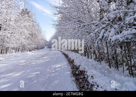 Inverno nel mio Québec Foto Stock