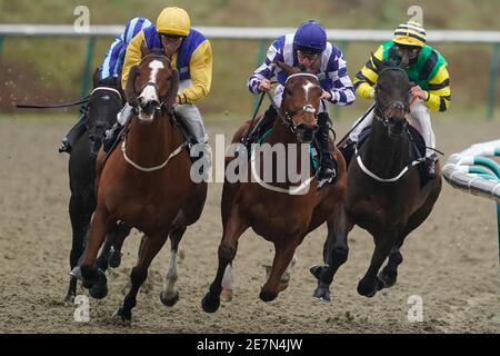 I corridori e i corridori si trasformano nel diritto nel handicap di Betway all'Ippodromo di Lingfield. Data immagine: Sabato 30 gennaio 2021. Foto Stock