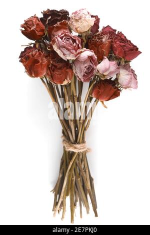 Bouquet di rose essiccati su sfondo bianco Foto Stock