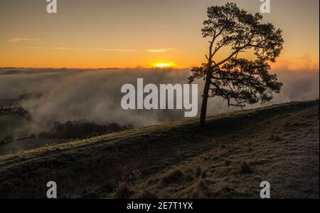 Vista del pino soleggiato scozzese e del sole mattutino invernale che appare sopra la nebbia riempita Pewsey vale da Martinsell Hill, Wiltshire, North Wessex Downs AONB Foto Stock