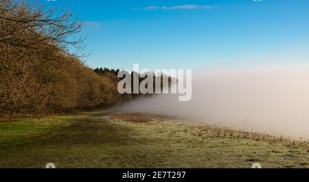 una linea curva di alberi invernali sotto un blu chiaro cielo con una banca di nebbia che cade via dentro al valle sotto Foto Stock