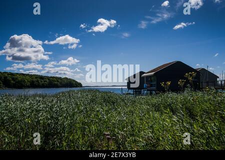 Rügen ist die flächengrößte und mit rund 63.200 Einwohnern auch die bevölkerungsreichste Insel Deutschlands. Foto Stock