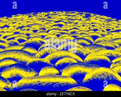 Primo piano fino A UN muro di roccia, giallo e blu scuro, una mostra nel centro di Memphis Tennessee, composto da grandi rocce arrotondate. Foto Stock