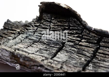 Legno bruciato, grigio bella cenere - su uno sfondo bianco, texture primo piano Foto Stock