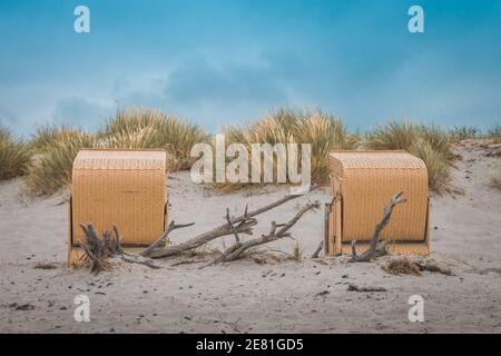 Darß ist der mittlere Teil der Halbinsel Fischland-Darß-Zingst, die an der südlichen Ostseeküste bei Ribnitz-Damgarten in Mecklenburg-Vorpommern liegt. Foto Stock