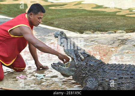 Samut Prakan, Thailandia. 30 gennaio 2021. Thailandia - UNO spettacolo tra attori che indossano camicie rosse e coccodrilli alla Samutprakarn Crocodile Farm and Zoo il 30 gennaio 2021, provincia di Samut Prakan, lo spettacolo è molto popolare tra i turisti. Ma con la malattia di Coronavirus (COVID-19) pandemia, il numero di turisti è notevolmente ridotto. (Foto di Teera Noisakran/Pacific Press) Credit: Pacific Press Media Production Corp./Alamy Live News Foto Stock