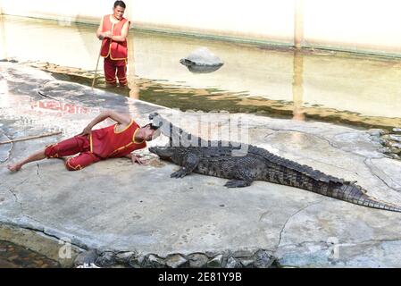 Samut Prakan, Thailandia. 30 gennaio 2021. Thailandia - UNO spettacolo tra attori che indossano camicie rosse e coccodrilli alla Samutprakarn Crocodile Farm and Zoo il 30 gennaio 2021, provincia di Samut Prakan, lo spettacolo è molto popolare tra i turisti. Ma con la malattia di Coronavirus (COVID-19) pandemia, il numero di turisti è notevolmente ridotto. (Foto di Teera Noisakran/Pacific Press) Credit: Pacific Press Media Production Corp./Alamy Live News Foto Stock