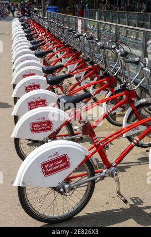 Noleggio biciclette, biciclette rosse parcheggiate ad Anversa, Belgio Foto Stock