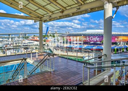 Il porticciolo e l'Hard Rock Cafe presso il Bayfront Marketplace situato sulla Biscayne Bay a Miami, Florida. Foto Stock