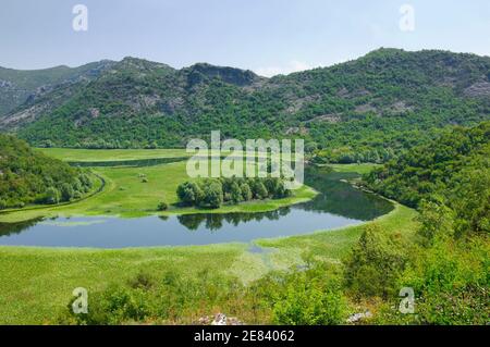 Un'ansa del fiume Crnojevica da Rijecani; questo è un affluente del lago Skadar, Montenegro Foto Stock