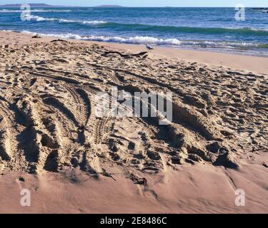 Tracce di pneumatici provenienti da veicoli che lasciano il segno sull'ambiente di questa splendida spiaggia sabbiosa con onde marine che si infrangono Foto Stock