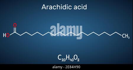 Molecola di acido arachidico, eicosanoico, acido icosanoico. Si tratta di acido grasso saturo a catena lunga. Formula chimica strutturale su sfondo blu scuro. V Illustrazione Vettoriale