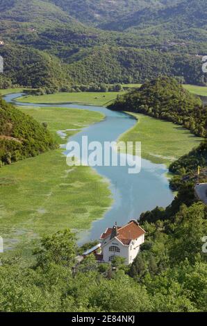 Il meandro canale del fiume Crnojevica nel Parco Nazionale del Lago Skadar, Montenegro Foto Stock