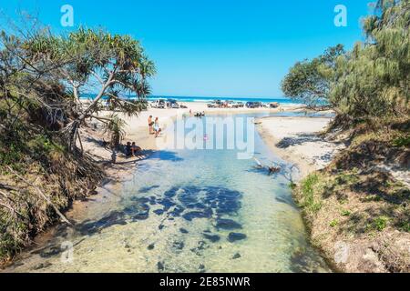 Persone che godono di Eli Creek, Great Sandy National Park, Fraser Island, Queensland, Australia, Foto Stock