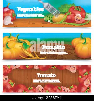 Tre colorati striscioni orizzontali con verdure e verdure per insalata illustrazione vettoriale della zucca nel campo e della cornice del pomodoro Illustrazione Vettoriale