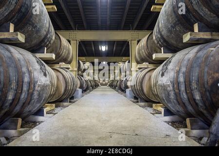 Barili di whisky che invecchiano nel magazzino della distilleria Glen Garioch, Inverurie, Aberdeenshire, Scozia Foto Stock