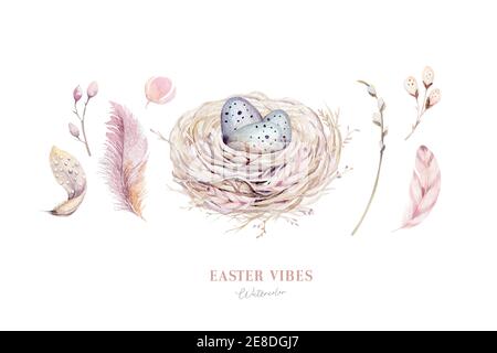 Acquerello happt nido di pasqua con uova di uccello con ramificazione e piuma. Illustrazione a mano della molla. Uovo di boho e nidi di piuma wreath. Decorazione di festa Foto Stock