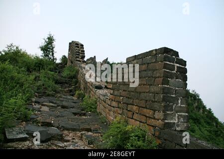 Bothriochloa Tongkuangyu l ecosistema originale la Grande Muraglia della Cina Foto Stock