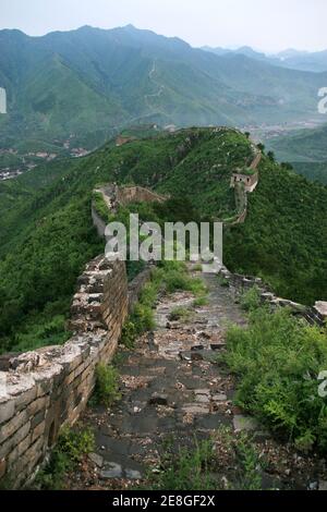 Bothriochloa Tongkuangyu l ecosistema originale la Grande Muraglia della Cina Foto Stock