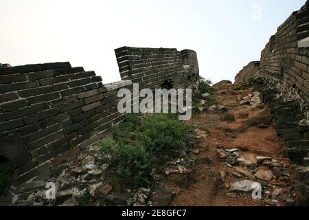 Bothriochloa Tongkuangyu l ecosistema originale la Grande Muraglia della Cina Foto Stock