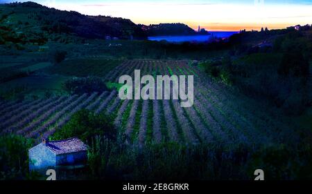 Piran Hinterland poco prima di completa oscurità. Tramonto rosso e Dark Land Infront Città medievale sulla costa slovena. Vigneti e alberi scuri. Foto Stock