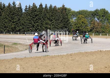 in attesa di inizio imbracatura cavallo trotter razza ippodrome Foto Stock