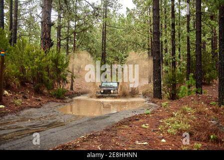 Moderna auto fuoristrada che guida attraverso il fango puddle in campagna strada sterrata in lussureggiante bosco verde di luce naturale Foto Stock