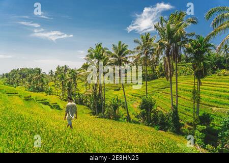 Contadino irriconoscibile che cammina tra le verdi piantagioni contro le montagne sotto il blu Cielo il giorno d'estate in Indonesia Foto Stock