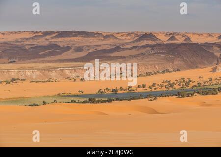 Lago d'acqua dolce come parte del Unesco vista Ounianga laghi nel deserto, nel nord del Ciad, Africa Foto Stock