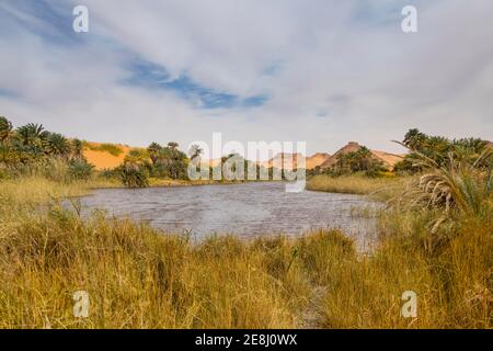 Lago d'acqua dolce come parte dei laghi Ounianga vista UNESCO nel mezzo del deserto, nel nord del Ciad, Africa Foto Stock