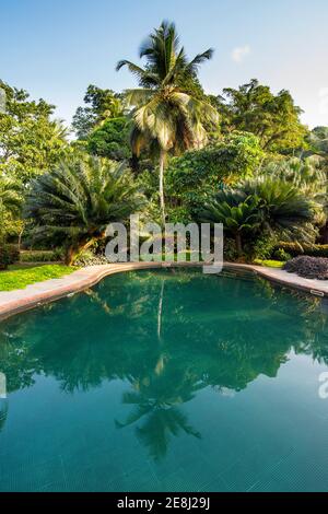 Piscina nel Bom Bom Resort, Riserva della biosfera UNESCO, Principe, Sao Tome e Principe, Oceano Atlantico Foto Stock