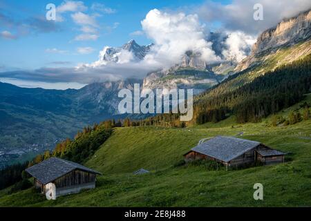 Umore serale, capanne di montagna, pascoli alpini, Pfingsteg, dietro la cima del Wetterhorn, Jungfrau regione, Grindelwald, Berna, Svizzera Foto Stock