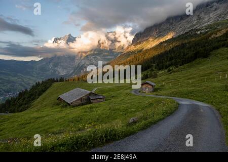 Umore serale, sentiero conduce a rifugi di montagna, pascoli alpini, Pfingsteg, dietro la cima del Wetterhorn, Jungfrau regione, Grindelwald, Berna Foto Stock