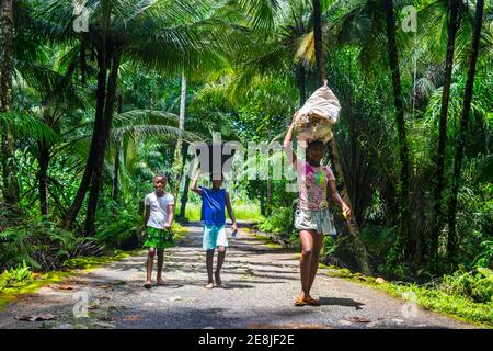 I bambini con secchi sulla loro testa camminando attraverso la giungla della costa meridionale di Sao Tomé, Sao Tomé e Principe, oceano Atlantico Foto Stock