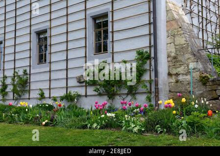 Aiuole fiorite nella casa giardino di Goethe, Weimar, Turingia, Germania Foto Stock