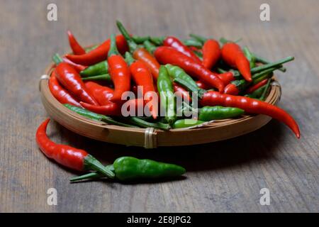 Peperoni (Capsicum frutescens) , Chilis, Chilis, Chilis, Chilis, Chili Pepper, Chili, Cayenne, Cayenne Pepper, Piri-Piri, Tabasco, Peperoncini Foto Stock