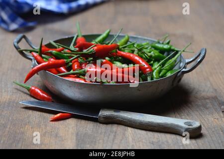 Peperoni (Capsicum frutescens) , Chilis, Chilis, Chilis, Chilis, Chili Pepper, Chili, Cayenne, Cayenne Pepper, Piri-Piri, Tabasco, Peperoncini Foto Stock
