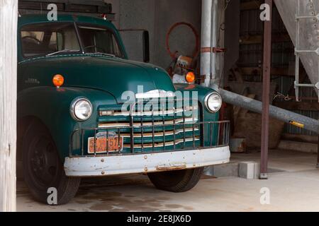 Un primo Chevrolet 1952 5400, 3 tonnellate camion grano, in una fattoria, vicino Uriah, Alabama Chevrolet Advance-Design camion cabina sono stati fatti dal 1947 al 1955. Foto Stock