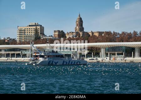 Catamarano per viaggi turistici, porto di Malaga, Muelle Dos, Andalusia, Spagna. Foto Stock