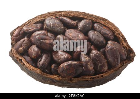 Cialda di cacao dimezzata con fagioli di cacao fermentati interi (frutti di cacao di Theobroma w semi) isolati, vista dall'alto Foto Stock