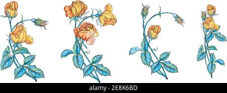 set di bouquet floreali con rose gialle. rose gialle. Illustrazione Vettoriale
