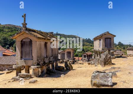 Barne tradizionali su palafitte - Espigueiros - Parco Nazionale Peneda Gerês, Lindoso, Provincia di Minho, Portogallo, Europa Foto Stock