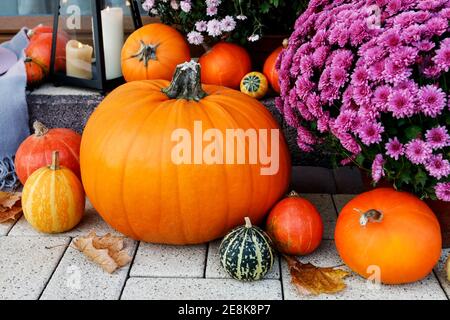 Bella decorazione domestica con zucche, fiori di crisantemo e candele. Decorazioni autunnali Foto Stock