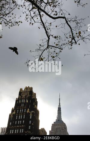 vista dal bryant park, con l'empire state e l'american radiator building hotel con uccelli che volano e albero con foglie caduti Foto Stock