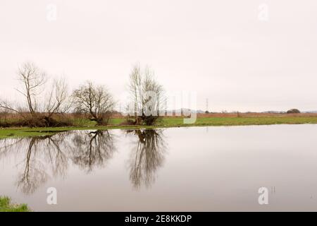 Gennaio 2021 - campo allagato sulle brughiere tra Glastonbury e Wedmore a Somerset, Regno Unito Foto Stock