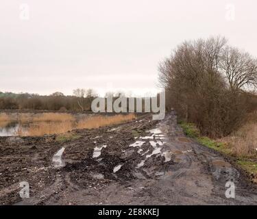 Gennaio 2021 - campo allagato sulle brughiere tra Glastonbury e Wedmore a Somerset, Regno Unito Foto Stock