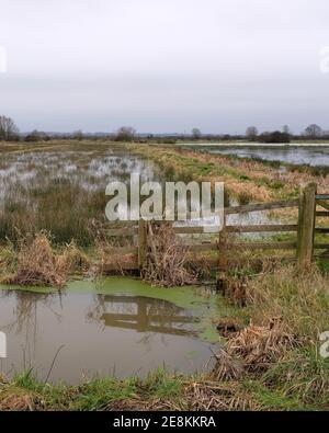 Gennaio 2021 - campo allagato sulle brughiere tra Glastonbury e Wedmore a Somerset, Regno Unito Foto Stock