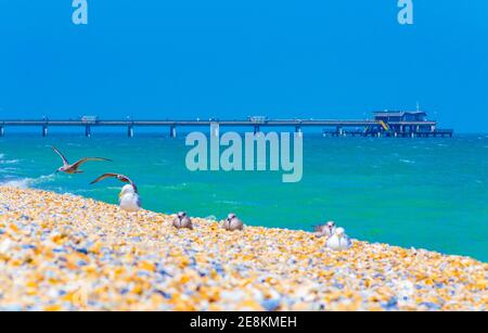 Vista della spiaggia Deal a bel molo d'estate. Deal corrente È l'ultimo molo di svago rimasto completamente intatto a Kent Ed è un building.UK classificato di grado II Foto Stock