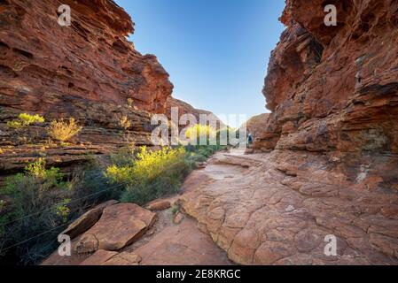 Kings Canyon fa parte del Parco Nazionale di Watarrka, nell'angolo sud-occidentale del territorio del Nord. Il parco è a 450 chilometri (280 miglia) da Ali Foto Stock